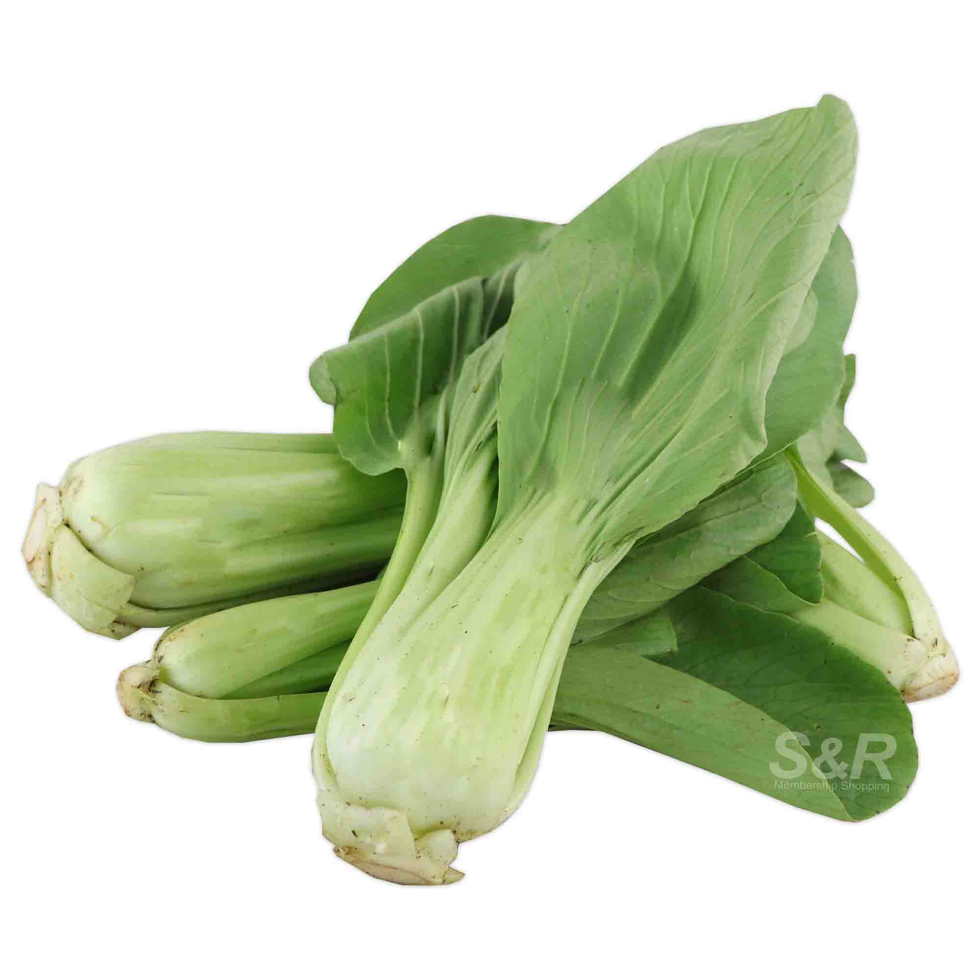 S&R Chingkang Cabbage approx. 700g S&R Chingkang Cabbage approx. 700g